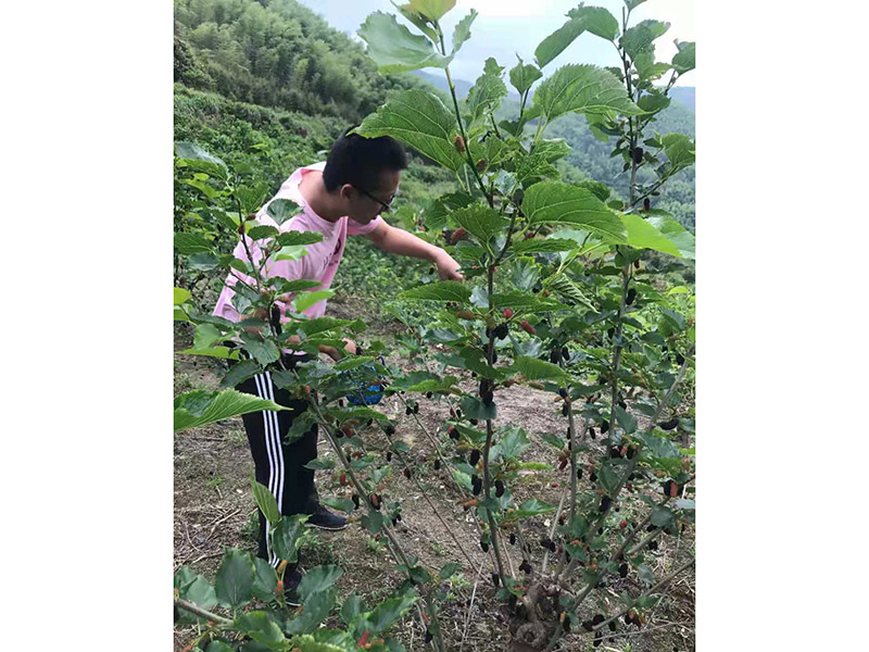员工风采43