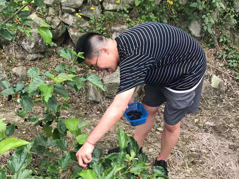 员工风采44